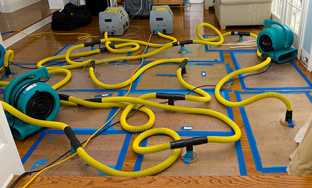 Professional Burst Pipe Water Damage technician working in Colcord, WV